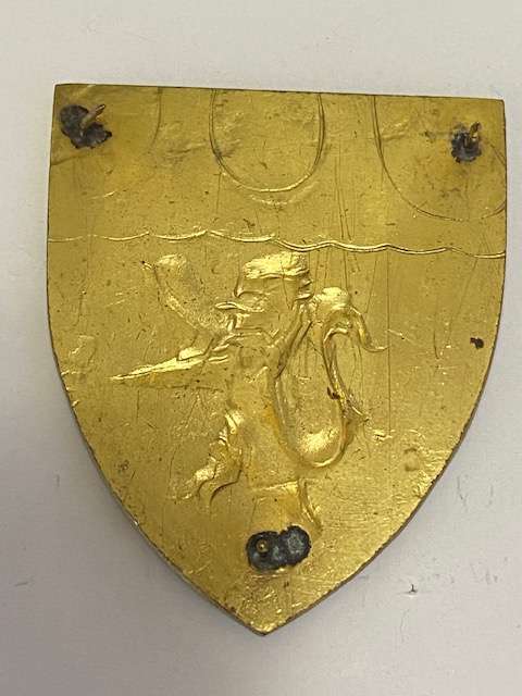 Cape Field Artillery Flash. Right Arm, All Pins