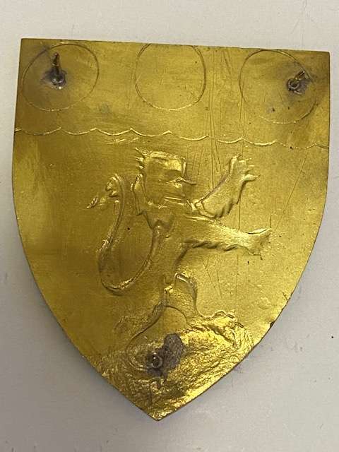 Cape Field Artillery Flash. Left Arm, All Pins.