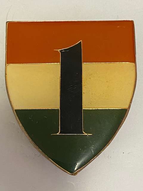 1 Battalion Transkei Defense Force Flash, All pins