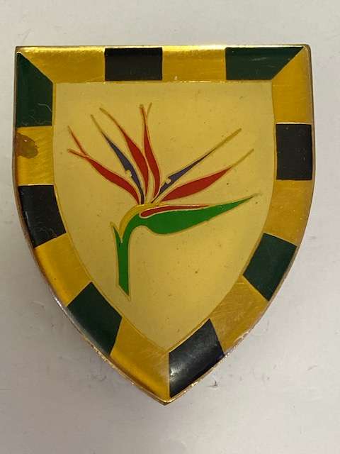 SA 6th Infantry Battalion Flash, All Pins.