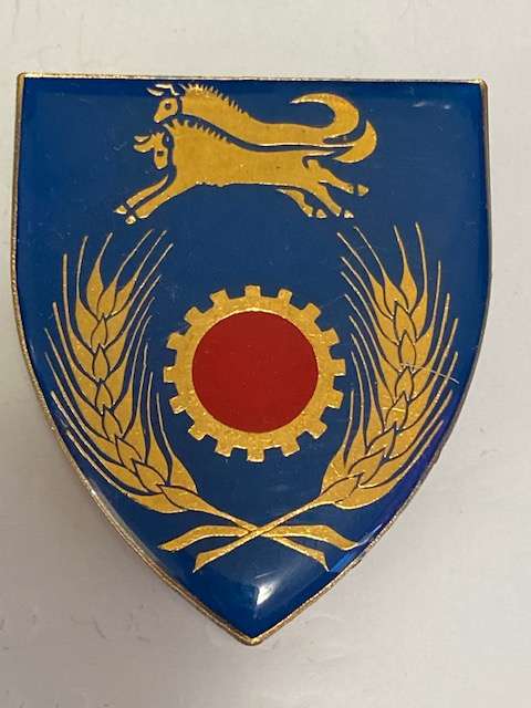 SADF Natal Command Maintenance Unit Flash. All pins