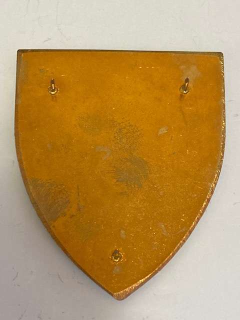SADF Natal Command Maintenance Unit Flash. All pins