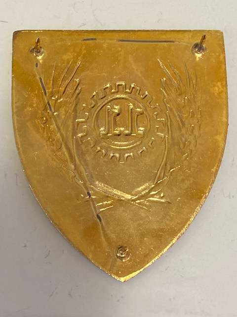 SADF Northern Transvaal Command Maintenance Unit. Flash. All Pins