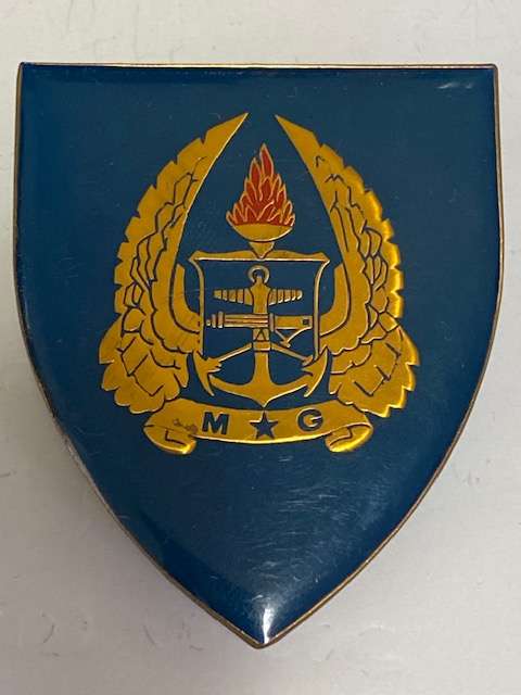 SADF Military Gymnasium Flash, All Pins.