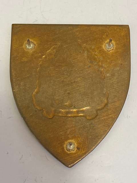 SADF Military Gymnasium Flash, All Pins.