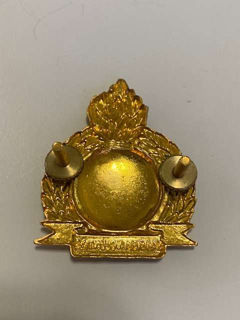 Bophuthatswana Army Engineers Cap Badge