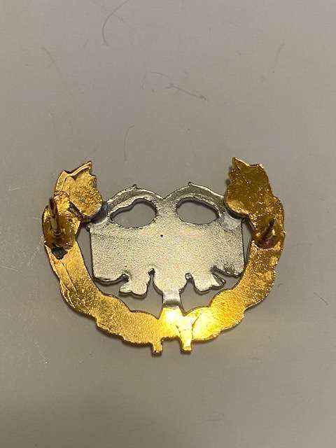 SA Airforce Protection BI Metal Beast Badge.