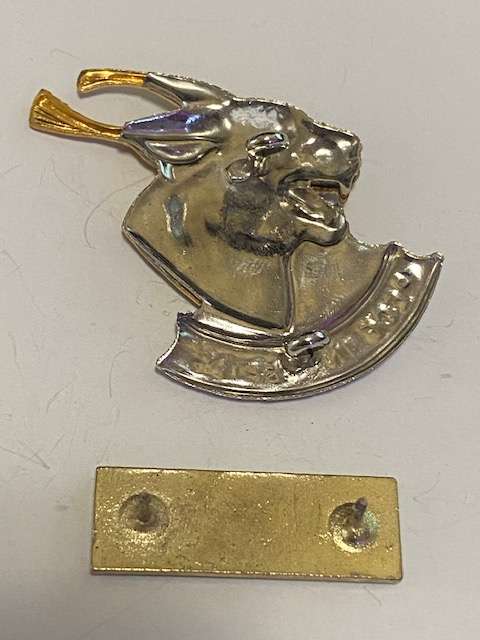 SADF Regiment Pretorius Bi- Metal Cap badge and Infantry Bar.