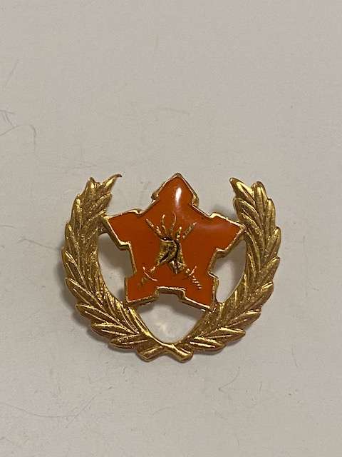 SADF 5 year Volunteer Badge.