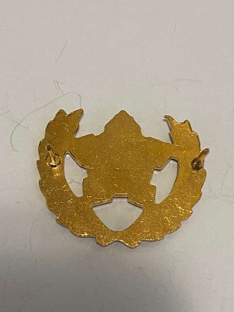 SADF 5 year Volunteer Badge.