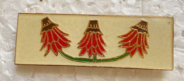 Eastern Transvaal Command Higher Formation Bar.