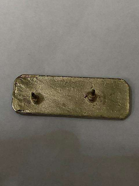 SA Army Medical Services Instructor Proficiency Badge.