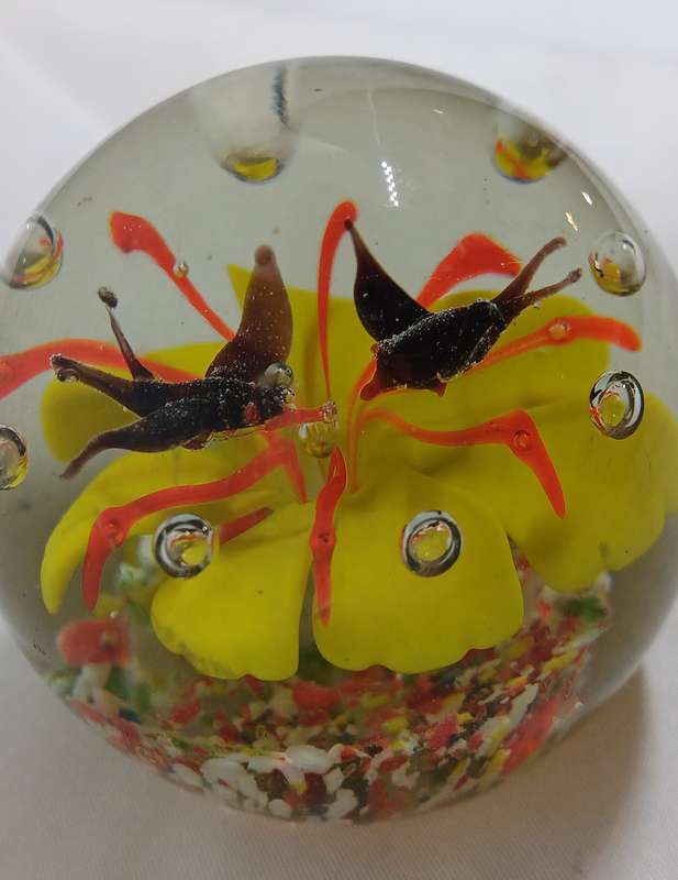 Paperweight