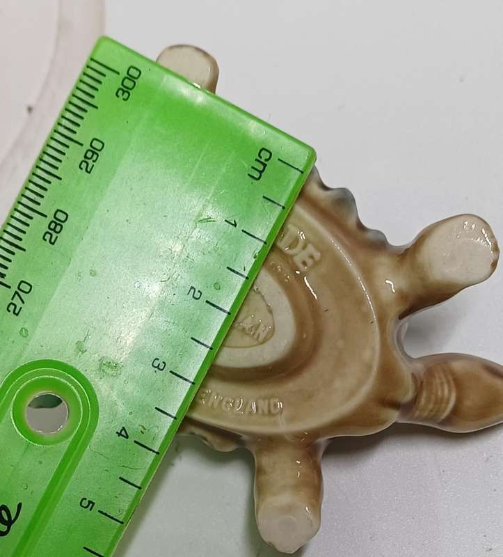 Wade tortoise