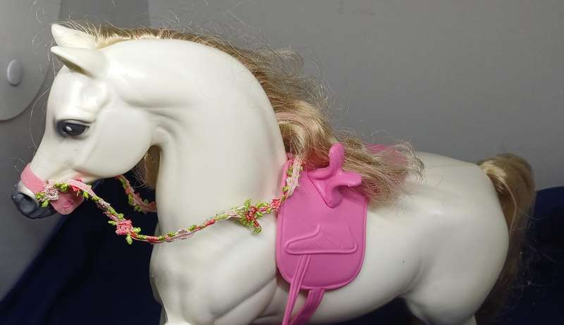 Barbie Pancer the horse