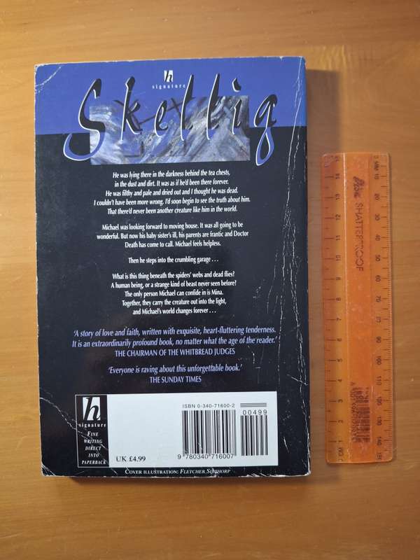 Skellig by David Almond