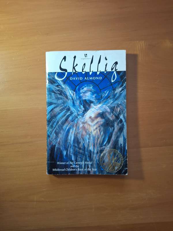 Skellig by David Almond