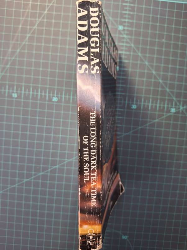 The Long Dark Tea-Time of the Soul by Douglas Adams