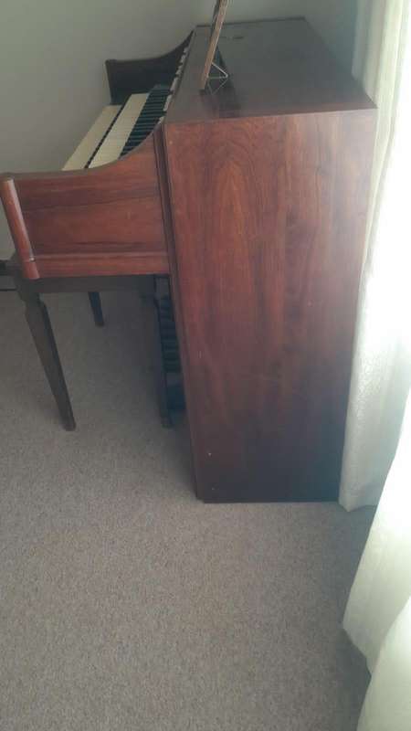 Organ (Hammond)