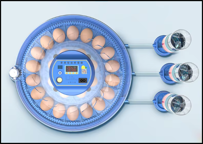 52 Egg Capacity Automatic Poultry Chicken Egg Incubator