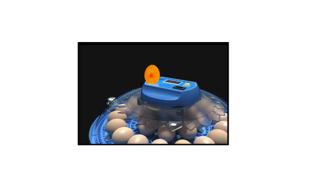 52 Egg Capacity Automatic Poultry Chicken Egg Incubator