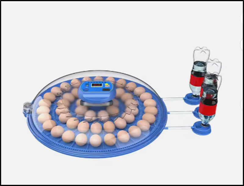 Incubator 52 Eggs