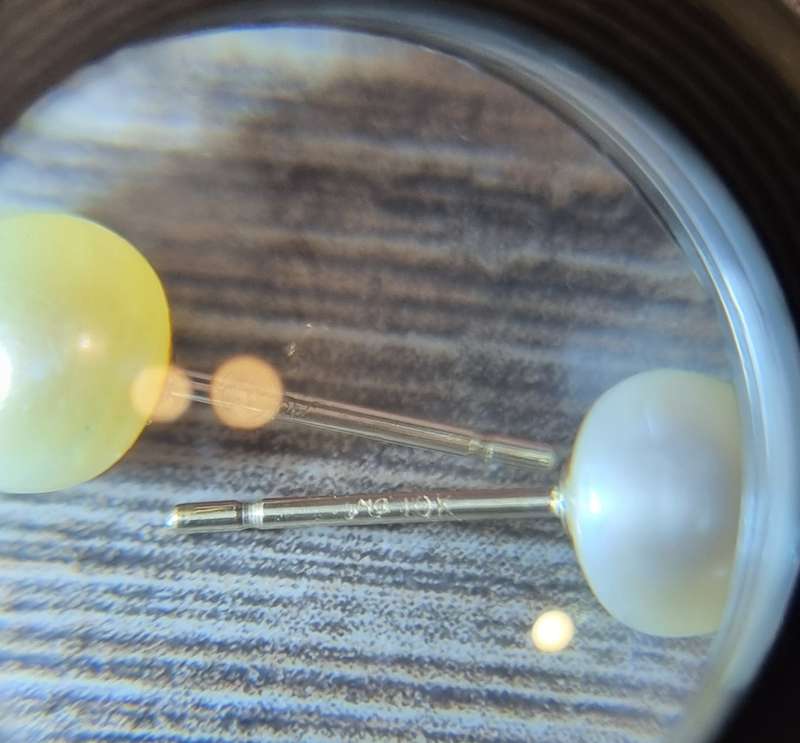 10 Karat Gold Pearl Earrings