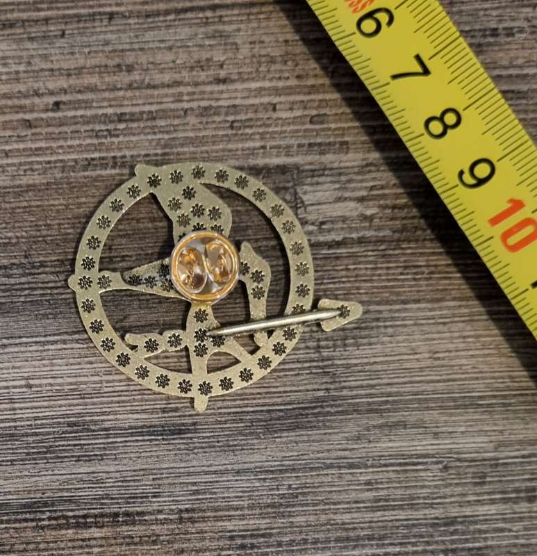 Mocking Jay Pin - Gold