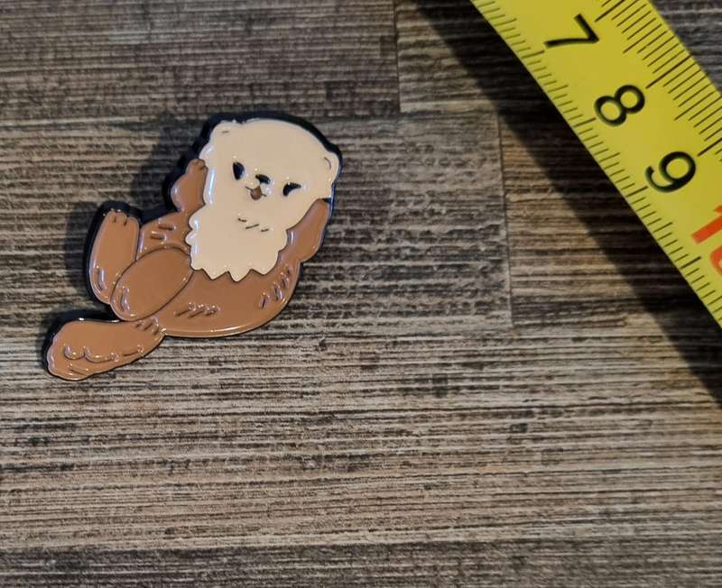 Cartoon Otter Enamel Pin