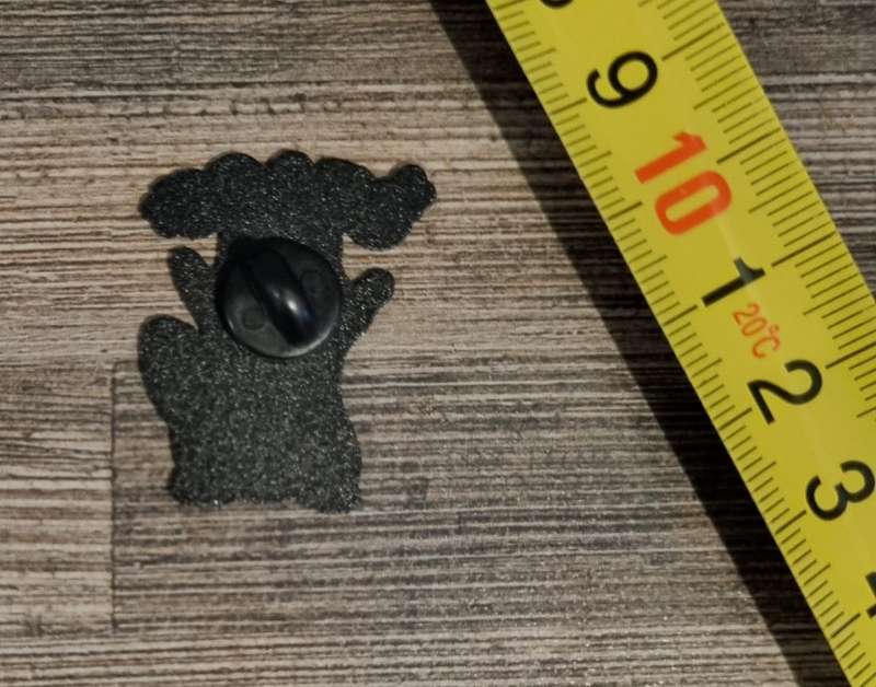 Chaos Raccoon Enamel Pin