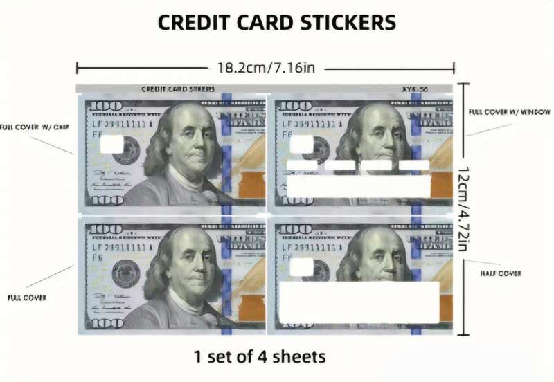 100 Dollar Bill Credit Card Skin