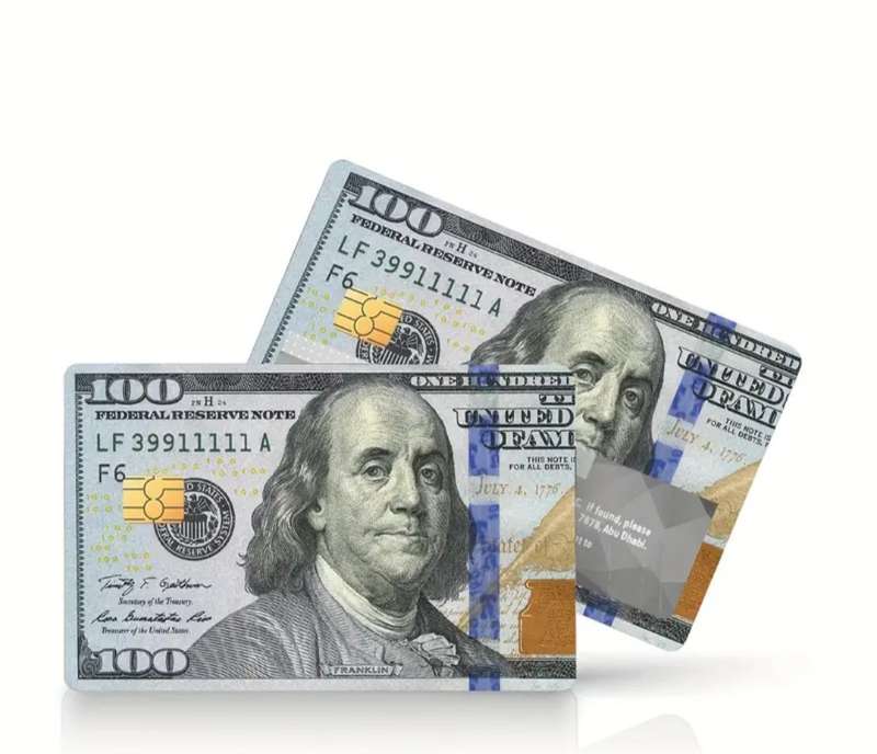 100 Dollar Bill Credit Card Skin