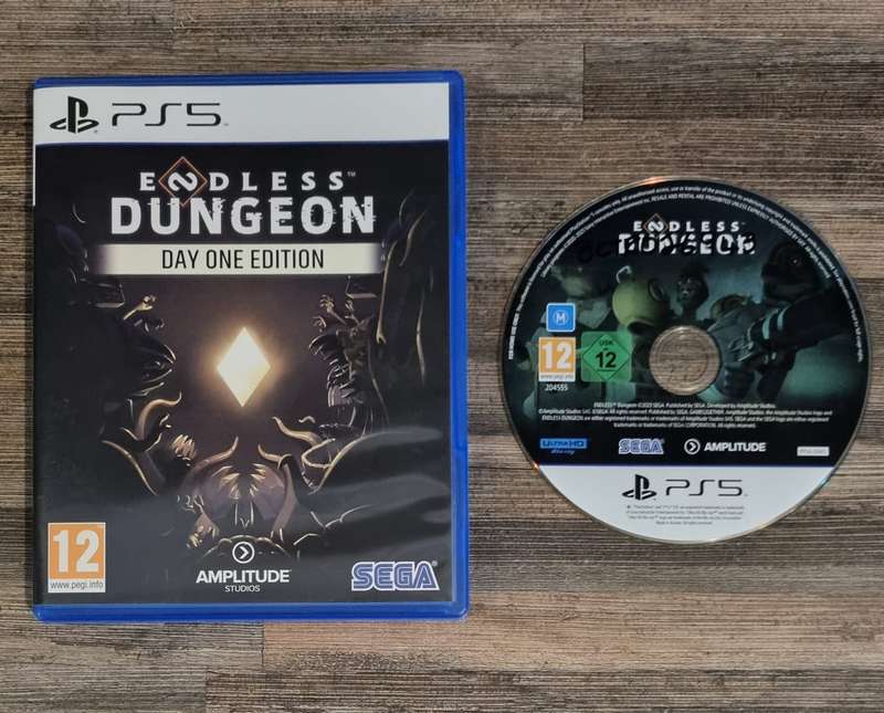Endless Dungeon Day One Edition for PS5
