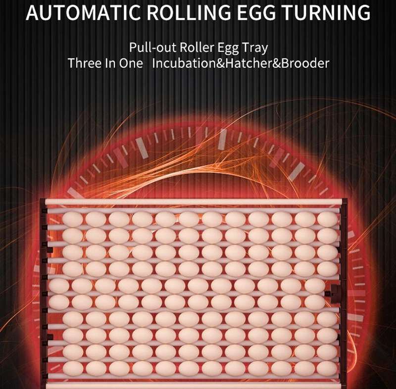 1000 Automatic Egg Incubator -Yz1000