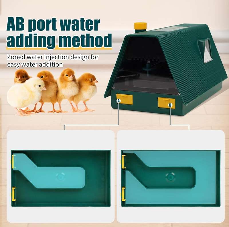 10 Egg Incubator
