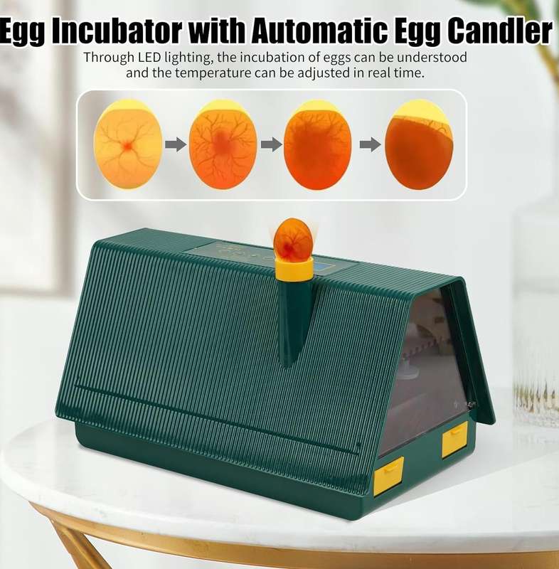 10 Egg Incubator