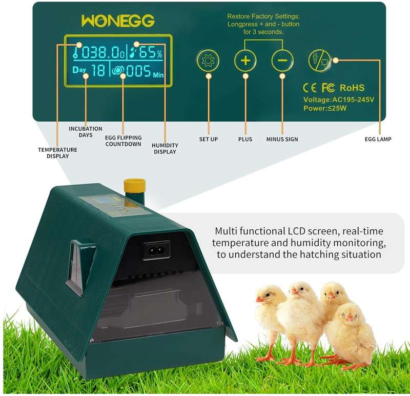 10 Egg Incubator