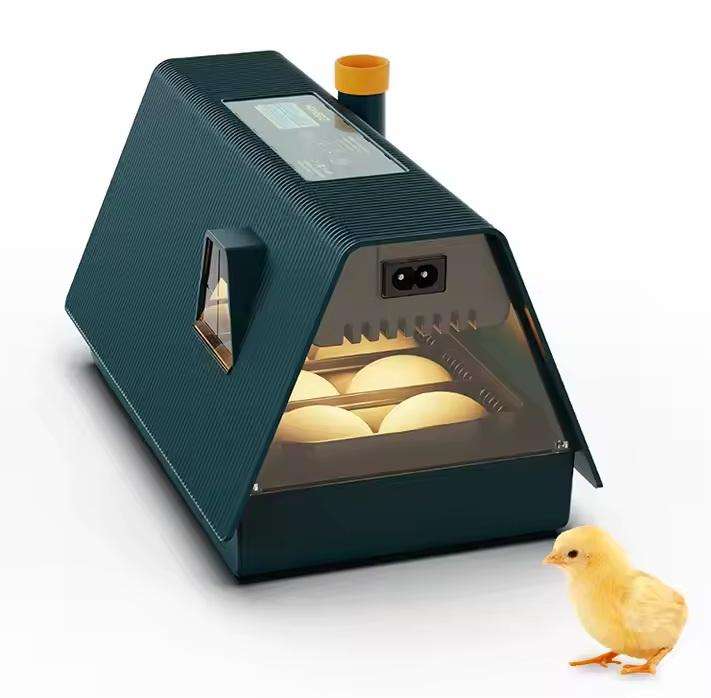 10 Egg Incubator