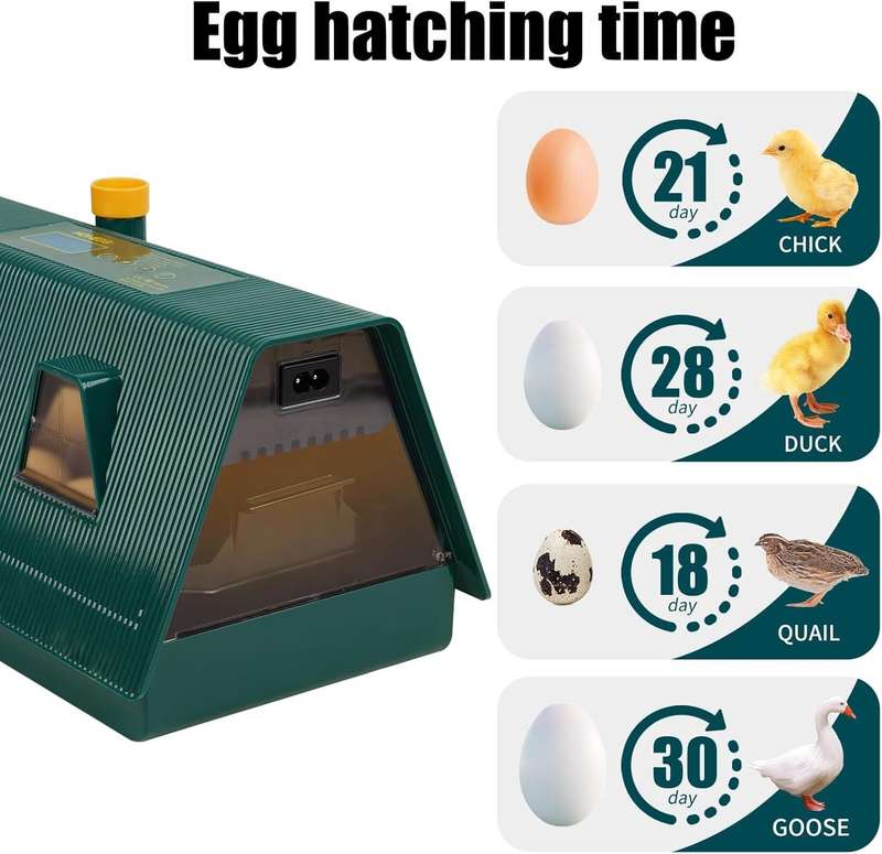 10 Egg Incubator
