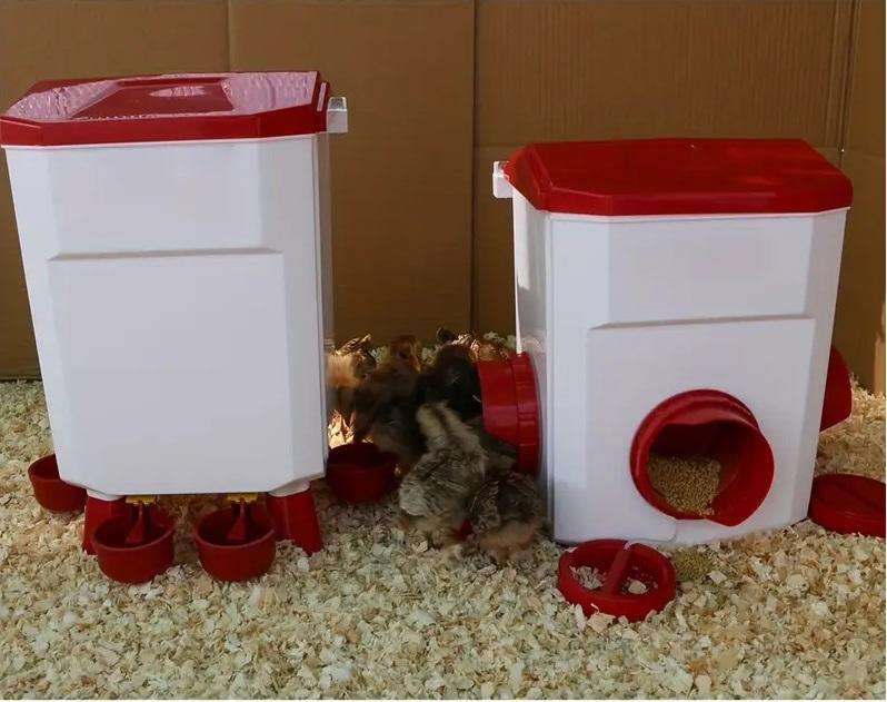 Chicken Feeder and Drinker Combo -11 litres