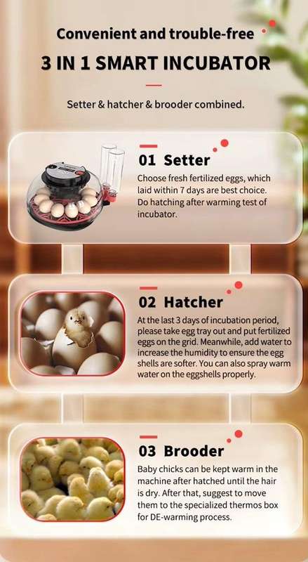 Smart 12 Egg Incubator