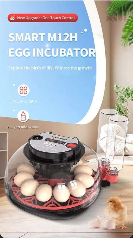 Smart Automatic 12 Egg Incubator
