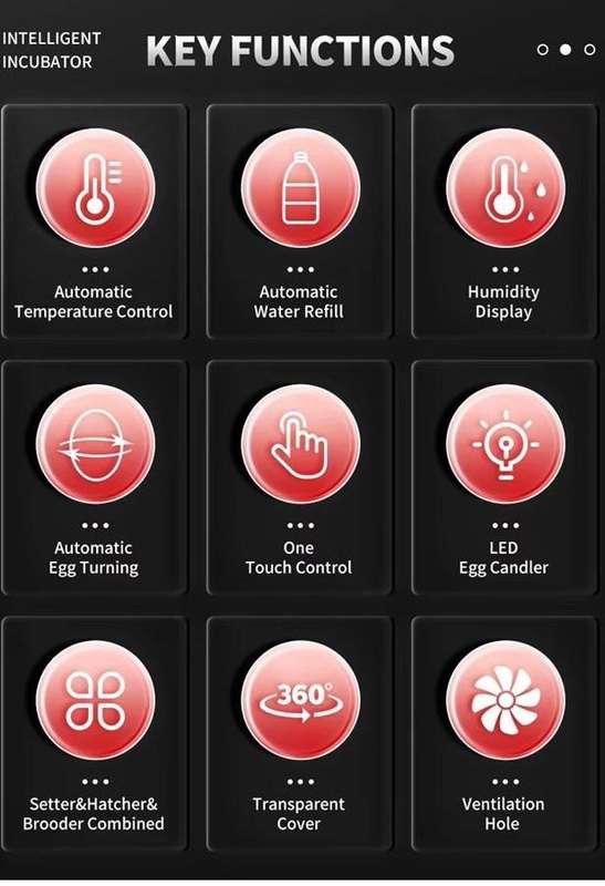 Smart Automatic 12 Egg Incubator