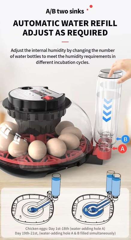 Smart Automatic 12 Egg Incubator