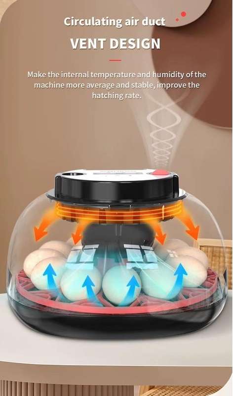 Smart Automatic 12 Egg Incubator