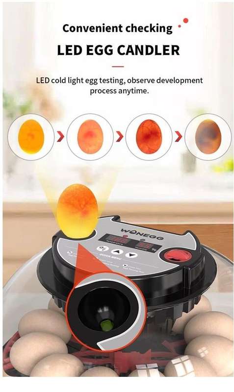 Smart Automatic 12 Egg Incubator