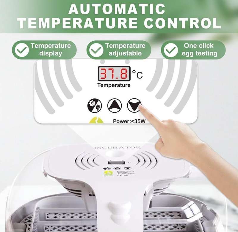 Automatic 16 Egg Incubator