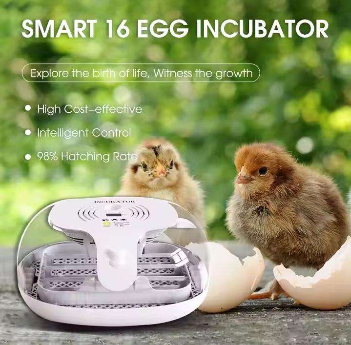 Automatic 16 Egg Incubator