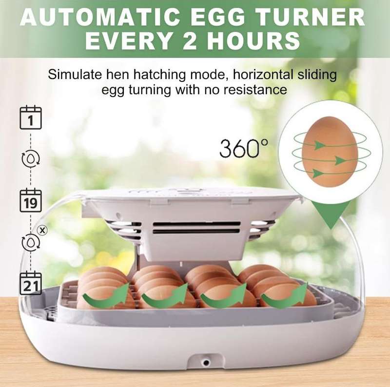 Automatic 16 Egg Incubator