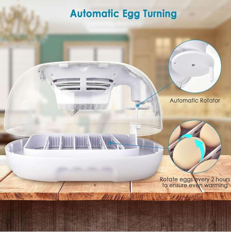 Automatic 16 Egg Incubator